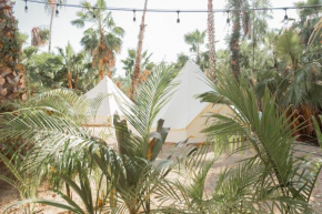 Cien Palmas Tent 2, Todos Los Santos